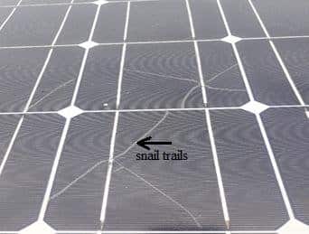 Close-up of a solar panel showing visible snail trail patterns on the surface.